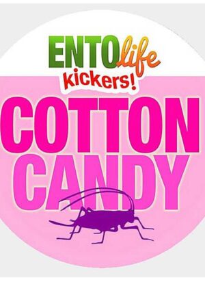 EntoLife Kickers – Cotton Candy Crickets