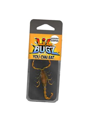 Lil Bugz – Scorpion